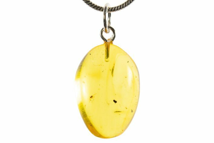 Polished Baltic Amber Pendant (Necklace) - Contains Fly! #339545